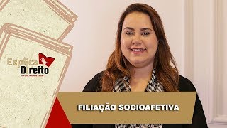 Explica Direito Filiação Socioafetiva  2019 [upl. by Sanfred]