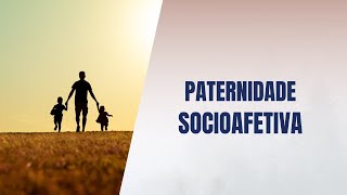 Paternidade socioafetiva [upl. by Ekard]