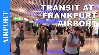 TRANSIT WALK AT FRANKFURT Airport FRA Terminal 1  Connection Flight Transfer Arriving amp Departing [upl. by Ahsitnauq925]